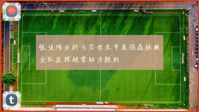 张佳玮分析戈贝尔末节表现森林狼全队发挥超常助力胜利