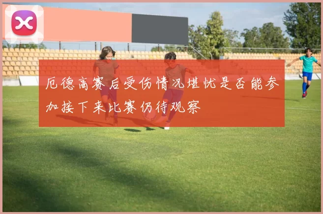 厄德高赛后受伤情况堪忧是否能参加接下来比赛仍待观察