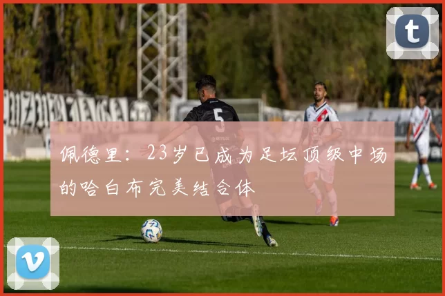 佩德里：23岁已成为足坛顶级中场的哈白布完美结合体